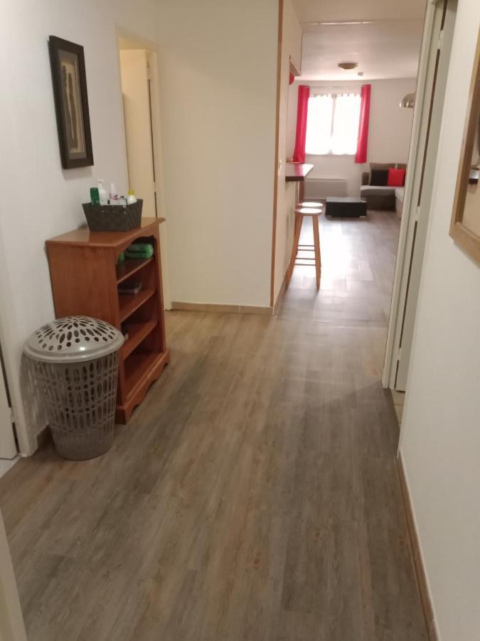 Superbe T3 De 85 Metres Carres Apartment Тулуза Екстериор снимка