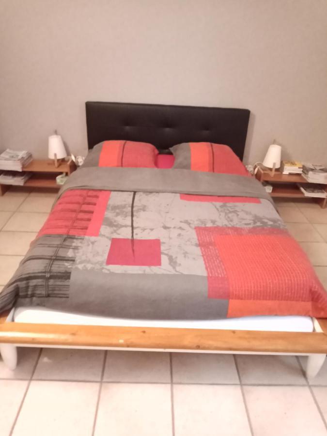 Superbe T3 De 85 Metres Carres Apartment Тулуза Екстериор снимка